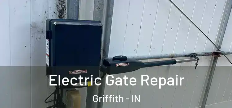  Electric Gate Repair Griffith - IN