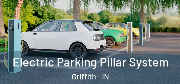  Electric Parking Pillar System Griffith - IN