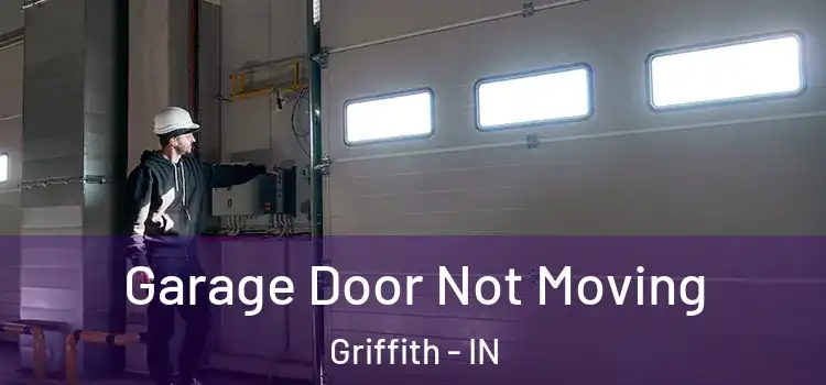  Garage Door Not Moving Griffith - IN