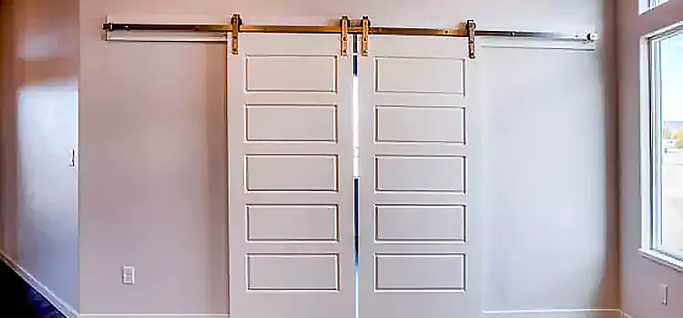 Glass Barn Door with Installation Hardware Kit Griffith