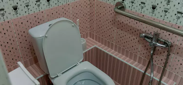Meeting Diverse Needs With Accessible Restroom Solutions in Griffith, IN