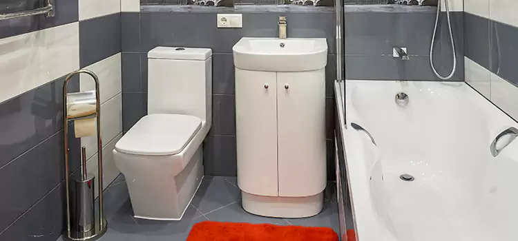 Hansgrohe Shaving Mirror Griffith