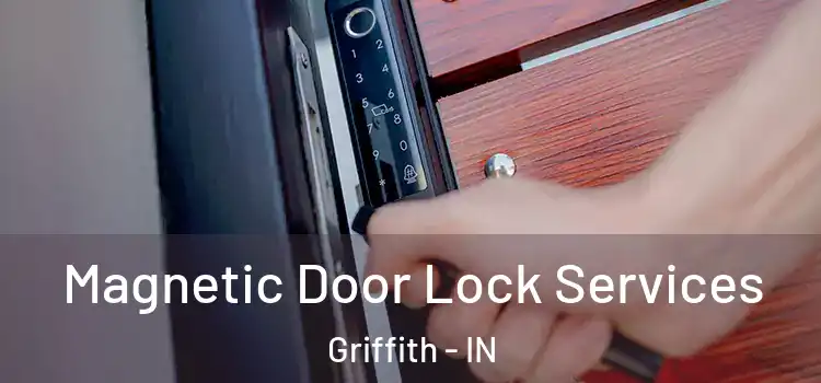  Magnetic Door Lock Services Griffith - IN
