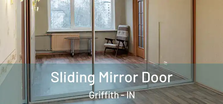  Sliding Mirror Door Griffith - IN